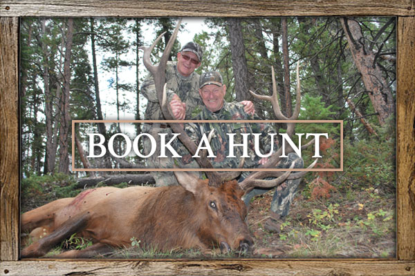Book A Hunt Book A Hunt With Colorado Elk Outfitter, LLC