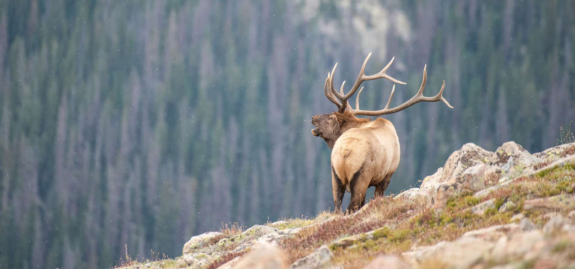 Colorado Elk Outfitter, LLC, Doug Spencer — fishing photo 2