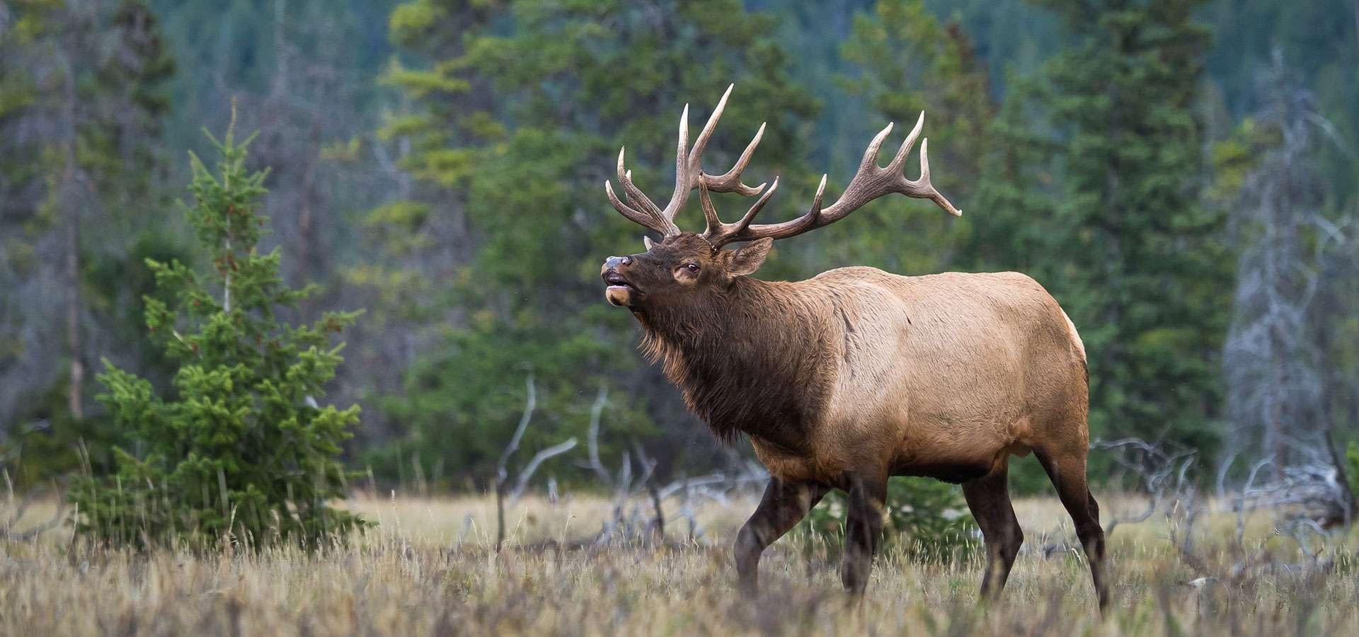 Colorado Elk Outfitter, LLC, Doug Spencer — fishing photo 3